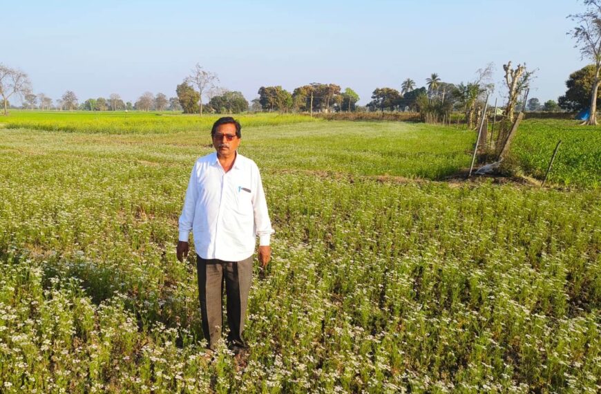 दौलतराम ने ग्रीष्मकालीन धान के बदले लगाई धनिया की फसल,&hellip;