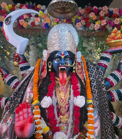 शक्तिधाम महाकाली मंदिर में पंचमी पर मां महाकाली का भव्य&hellip;