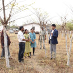 कलेक्टर ने गठुला में टसर परिवर्तन केन्द्र का किया निरीक्षण, सुरक्षा और ग्रामीण आय बढ़ाने दिए निर्देश