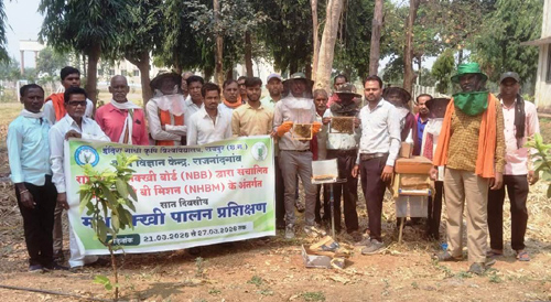 राष्ट्रीय मधुमक्खी पालन मिशन : ग्रामीण और आदिवासी कृषकों को सात दिवसीय प्रशिक्षण