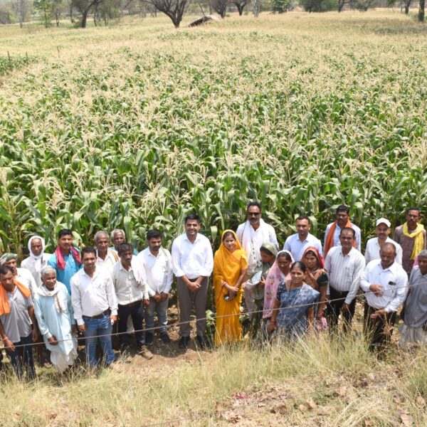 ग्राम घुपसाल बना आदर्श मॉडल, जल संरक्षण और फसल परिवर्तन से पानी की समस्या हुई कम