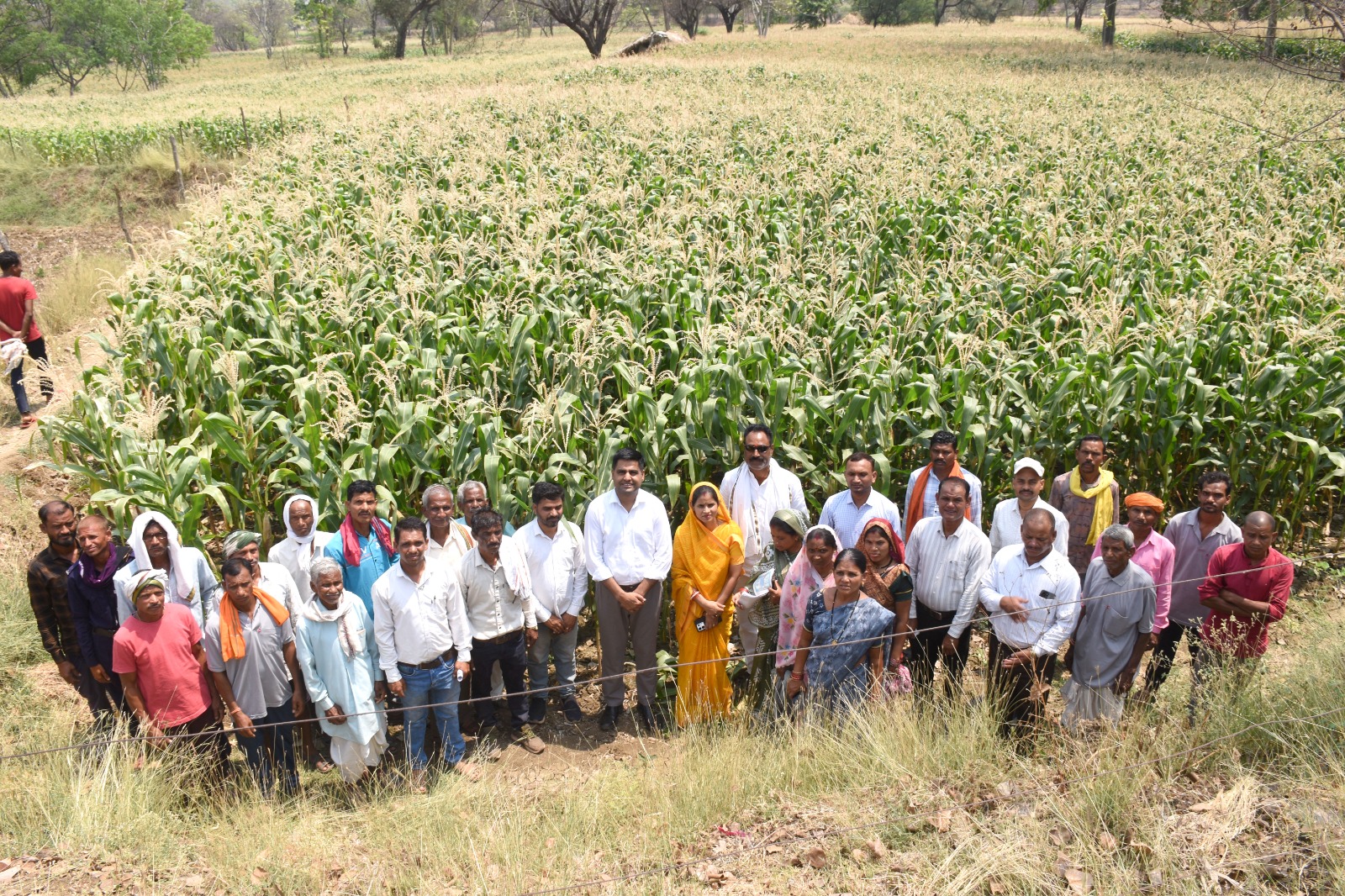 ग्राम घुपसाल बना आदर्श मॉडल, जल संरक्षण और फसल परिवर्तन से पानी की समस्या हुई कम