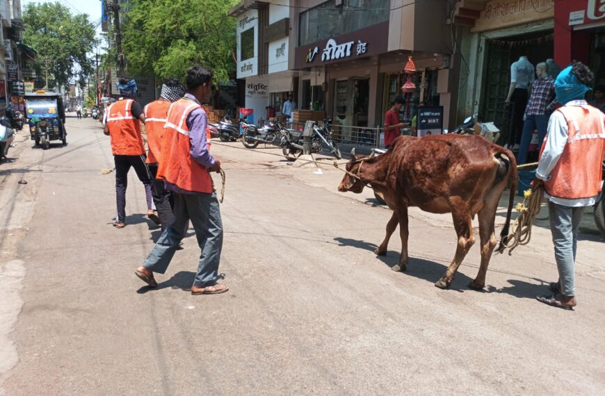 सड़कों पर डेरा डाले मवेशियों पर निगम की सख्ती, दो&hellip;