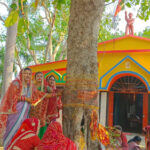 अटूट सुहाग की कामना : राजनांदगांव में श्रद्धा और उत्साह के साथ मनाया गया वट सावित्री पर्व