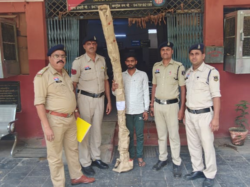 घर की बाड़ी में हो रही थी गांजे की खेती, पुलिस की दबिश में 6 हरे पौधे जप्त, आरोपी जेल भेजा गया