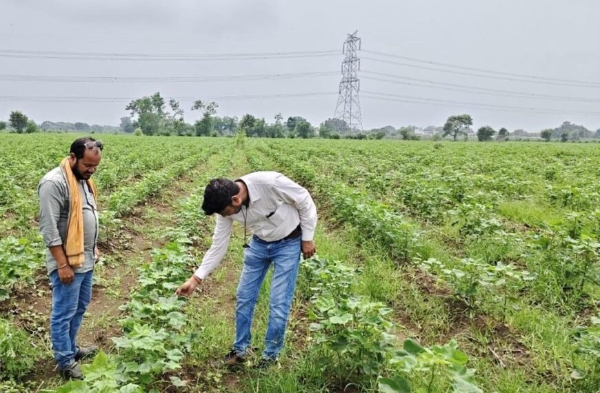 लगातार बारिश से फसलों में कीट व रोगों का खतरा&hellip;